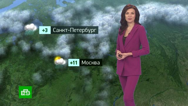 Утренний прогноз погоды на 27 марта.погода, прогноз погоды.НТВ.Ru: новости, видео, программы телеканала НТВ