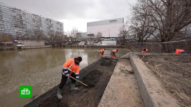 В Марьине реконструируют пруды-регуляторы.ЖКХ, Москва, реки и озера.НТВ.Ru: новости, видео, программы телеканала НТВ