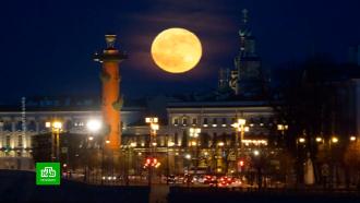 Жители Петербурга наблюдали оранжевую Луну