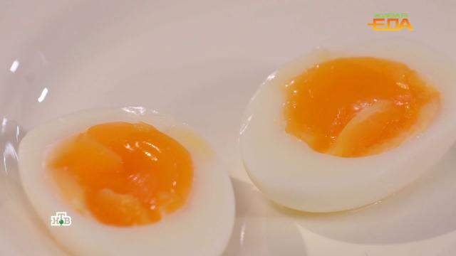 Вкрутую, всмятку, в мешочек: как сварить идеальное яйцо по науке.еда, кулинария, продукты.НТВ.Ru: новости, видео, программы телеканала НТВ