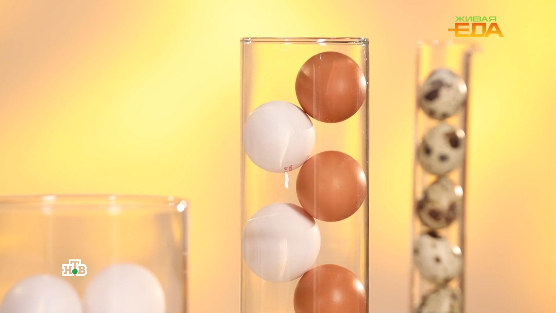 Сколько яиц и в каком виде можно есть без вреда для здоровья
