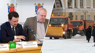 Петербургские депутаты думали, чем заменить соль для уборки дорог
