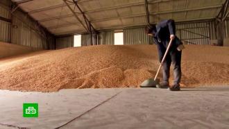В ЕС запретили экспорт украинского зерна в пять стран Восточной Европы