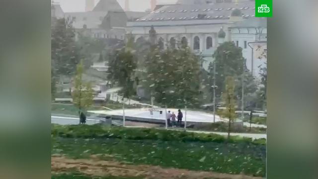 В Москве выпал снег.Москва, погода, погодные аномалии, снег.НТВ.Ru: новости, видео, программы телеканала НТВ