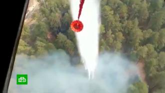 Эвакуация населения и введение режима ЧС: горящие леса в регионах тушит пожарная авиация