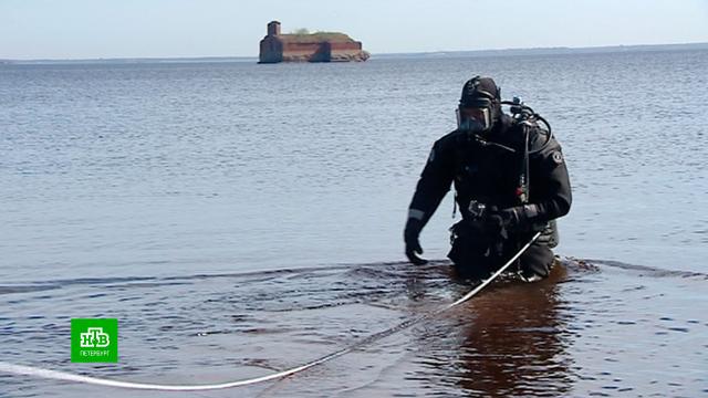 Петербургские пляжи накануне лета начали обследовать водолазы