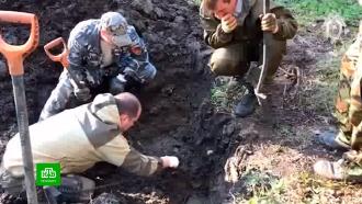 В парке «Сильвия» обнаружены останки еще десяти расстрелянных немцами жителей Гатчины