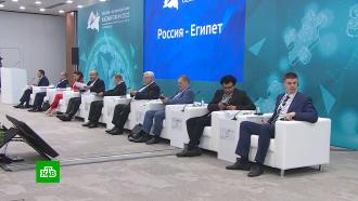 Соревнования, презентации и подписание соглашений: в Казани проходит форум «Россия — исламский мир»