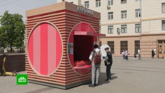 Около 150 точек будут продавать клубнику в Москве летом