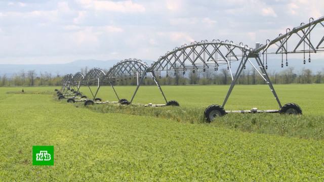 Как аграрии Крыма продолжают борьбу с последствиями водной блокады