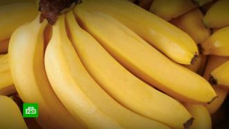 СМИ: бананы могут стать социально значимым продуктом в России 