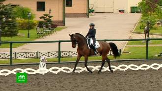 В Ленобласти проходят большие соревнования по конным видам спорта