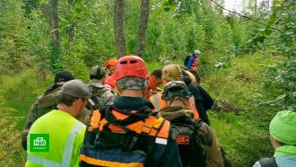 Волонтеры «ЛизаАлерт» напомнили, как не потеряться в лесу