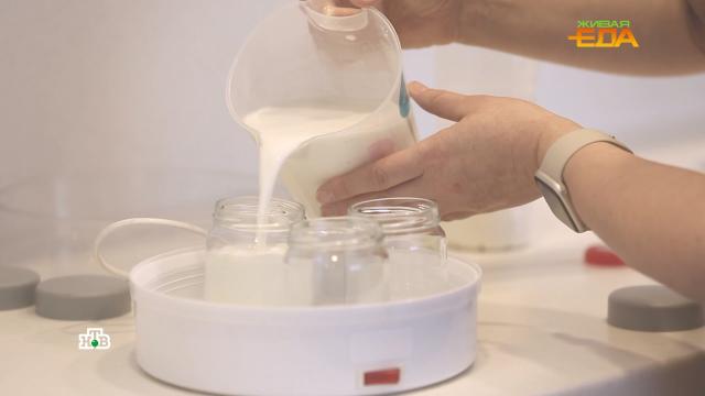 Есть ли преимущества у термостатных молочных продуктов?НТВ.Ru: новости, видео, программы телеканала НТВ