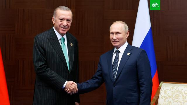 Путин по телефону поздравил Эрдогана с победой.Путин, Турция, Эрдоган, выборы.НТВ.Ru: новости, видео, программы телеканала НТВ