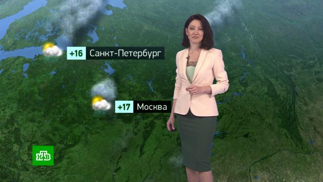 Утренний прогноз погоды на 31 мая.погода, прогноз погоды.НТВ.Ru: новости, видео, программы телеканала НТВ