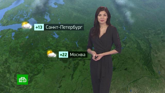 Утренний прогноз погоды на 1 июня.погода, прогноз погоды.НТВ.Ru: новости, видео, программы телеканала НТВ