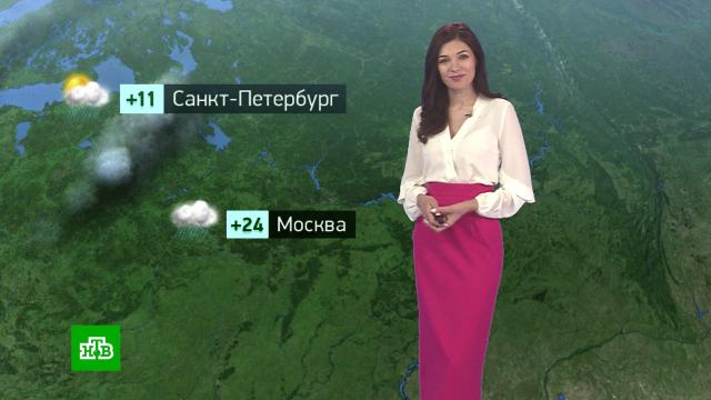 Утренний прогноз погоды на 2 июня.погода, прогноз погоды.НТВ.Ru: новости, видео, программы телеканала НТВ