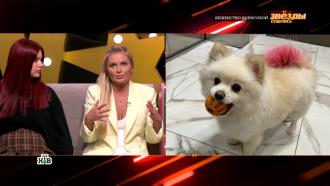 Дана Борисова рассказала, как собака покусала ее дочь