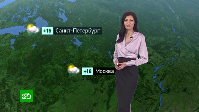 Утренний прогноз погоды на 5 июня.погода, прогноз погоды.НТВ.Ru: новости, видео, программы телеканала НТВ