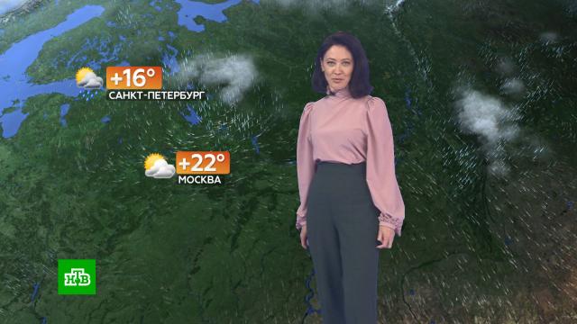 Прогноз погоды на 7 июня.погода, прогноз погоды.НТВ.Ru: новости, видео, программы телеканала НТВ