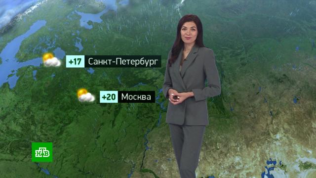 Утренний прогноз погоды на 6 июня.погода, прогноз погоды.НТВ.Ru: новости, видео, программы телеканала НТВ
