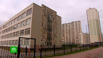 Родители 707-й школы Петербурга протестуют против второй смены