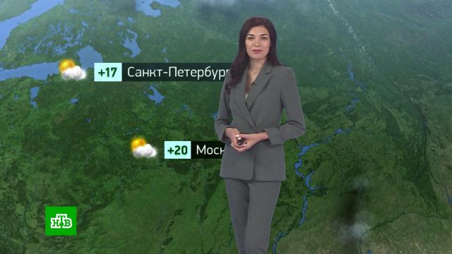 Утренний прогноз погоды на 7 июня.погода, прогноз погоды.НТВ.Ru: новости, видео, программы телеканала НТВ