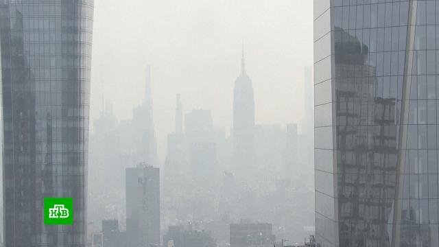 Нью-Йорк возглавил мировой рейтинг городов с самым грязным воздухом.Нью-Йорк, США, экология.НТВ.Ru: новости, видео, программы телеканала НТВ