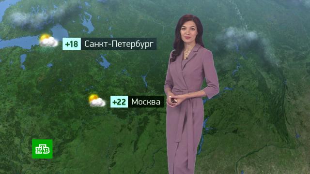 Утренний прогноз погоды на 8 июня.погода, прогноз погоды.НТВ.Ru: новости, видео, программы телеканала НТВ