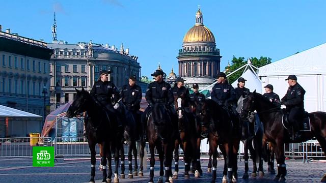 Полицейская кавалерия впервые участвовала в торжественном смотре на Дворцовой площади.МВД, Санкт-Петербург, полиция.НТВ.Ru: новости, видео, программы телеканала НТВ