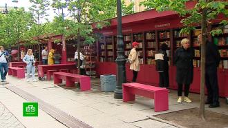 В центре Петербурга вновь открываются «Книжные аллеи»