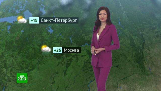 Утренний прогноз погоды на 9 июня.погода, прогноз погоды.НТВ.Ru: новости, видео, программы телеканала НТВ