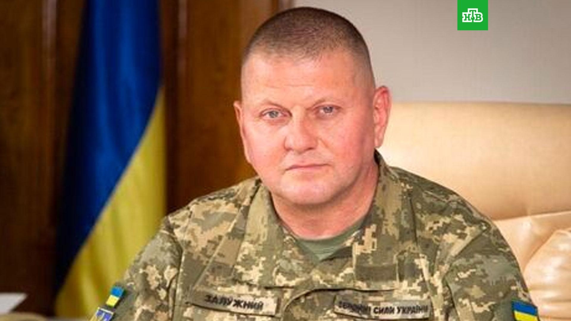 Украинский генерал командующий армией. Залужный главнокомандующий ВСУ. Генерал Залужный ВСУ 2022.