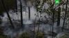 МЧС: площадь лесных пожаров в России превышает 1 млн гектаров лесные пожары, МЧС.НТВ.Ru: новости, видео, программы телеканала НТВ