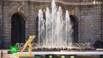 В Петербурге купающимся в фонтанах десантикам грозят отключить воду