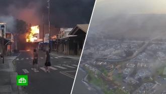 Туристы в спешке покидают Гавайи, спасаясь от лесных пожаров