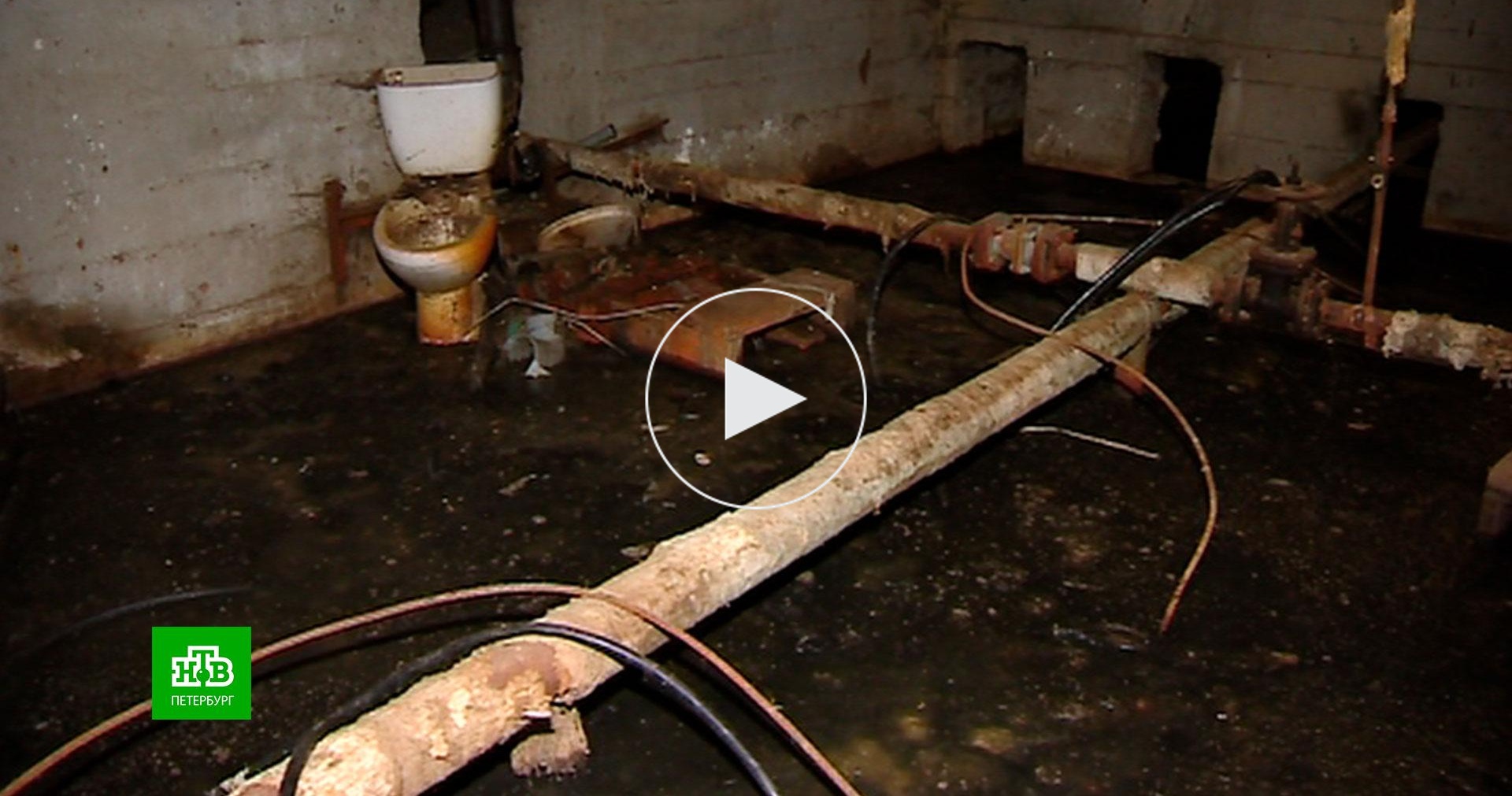 Петербуржцы не могли заставить коммунальщиков откачать фекалии из ...