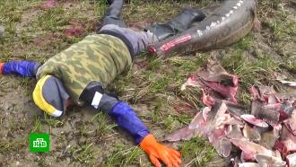 На Сахалине задержали браконьеров за ловлю краснокнижной рыбы калуги