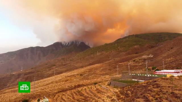 �� ���������� ������� �������� ������� �������� �������� ���������.�������, ������ ������, ������.���.Ru: �������, �����, ��������� ���������� ���