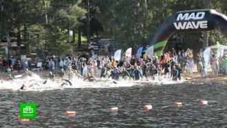 Более 300 петербуржцев окунулись в атмосферу соревнований по плаванию