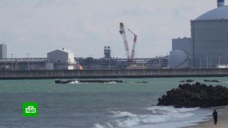 <nobr>«Кто-то</nobr> заболеет и умрет»: чем опасен сброс воды с АЭС «Фукусима»