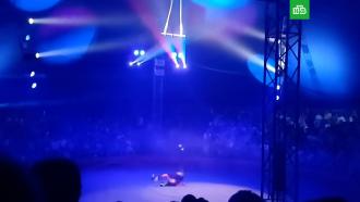 В Барнауле артистка цирка сорвалась с высоты во время выступления