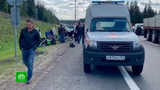 Трагедия на трассе «Скандинавия»: СК Ленобласти выясняет подробности