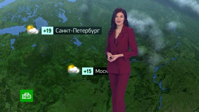 �������� ������� ������ �� 8&nbsp;��������.������, ������� ������.���.Ru: �������, �����, ��������� ���������� ���