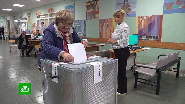 Эксперт из Италии отметил важность выборов в новых российских регионах