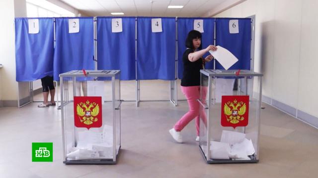 Прозрачность, открытость и правда: как проходят выборы в России