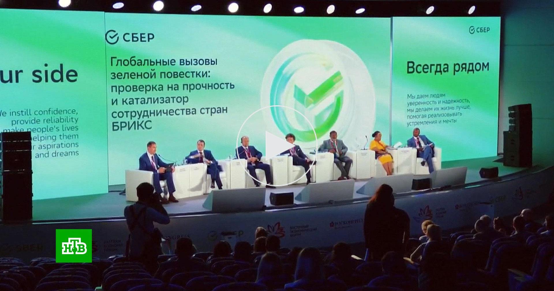 Сбер внедрит систему распознавания амурского тигра // Новости НТВ