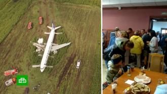 Аварийно севший самолет «Уральских авиалиний» продолжит летать после ремонта