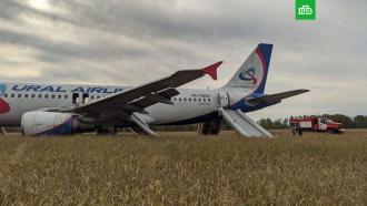 Появились первые кадры с места посадки Airbus A320 в поле в Новосибирской области